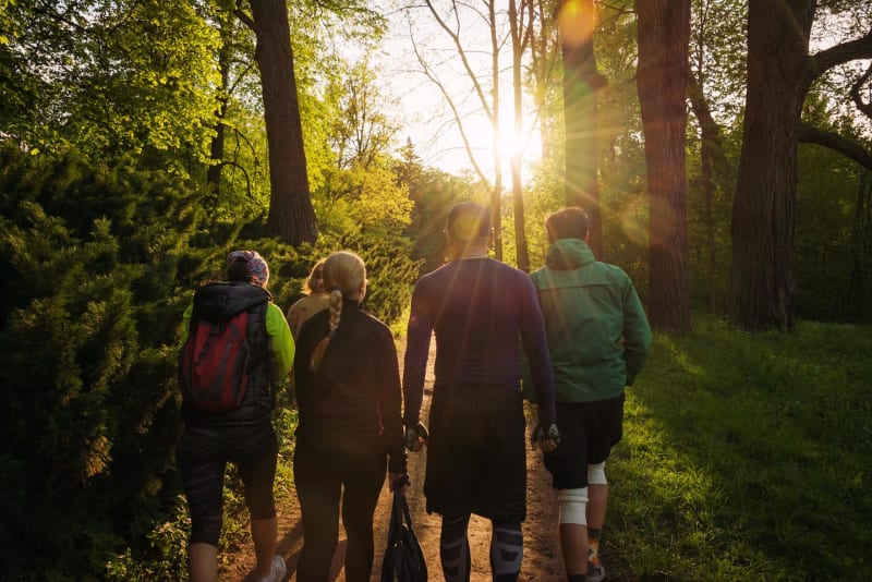 Escapade dans les bois de Mongin et la plaine de la Canche - La Celle-en-Morvan