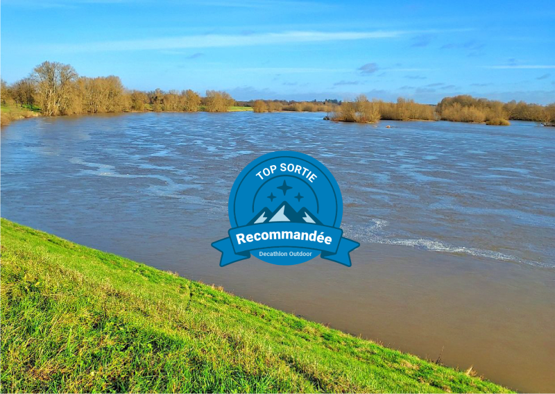 Les bords de Loire de Saint-Jean-de-Braye à Mardié à VTC - Saint-Jean-de-Braye