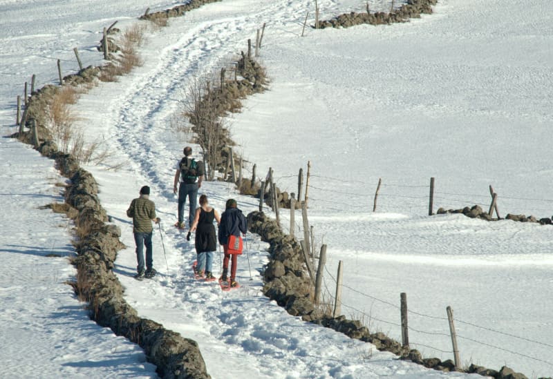Bonnecombe, entre forêt et plaines blanches d'Aubrac - Les Hermaux
