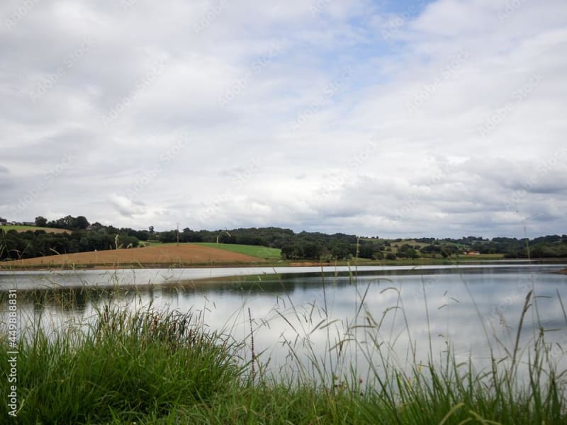 Petite boucle autour du lac de Serre-Castet - Serres-Castet
