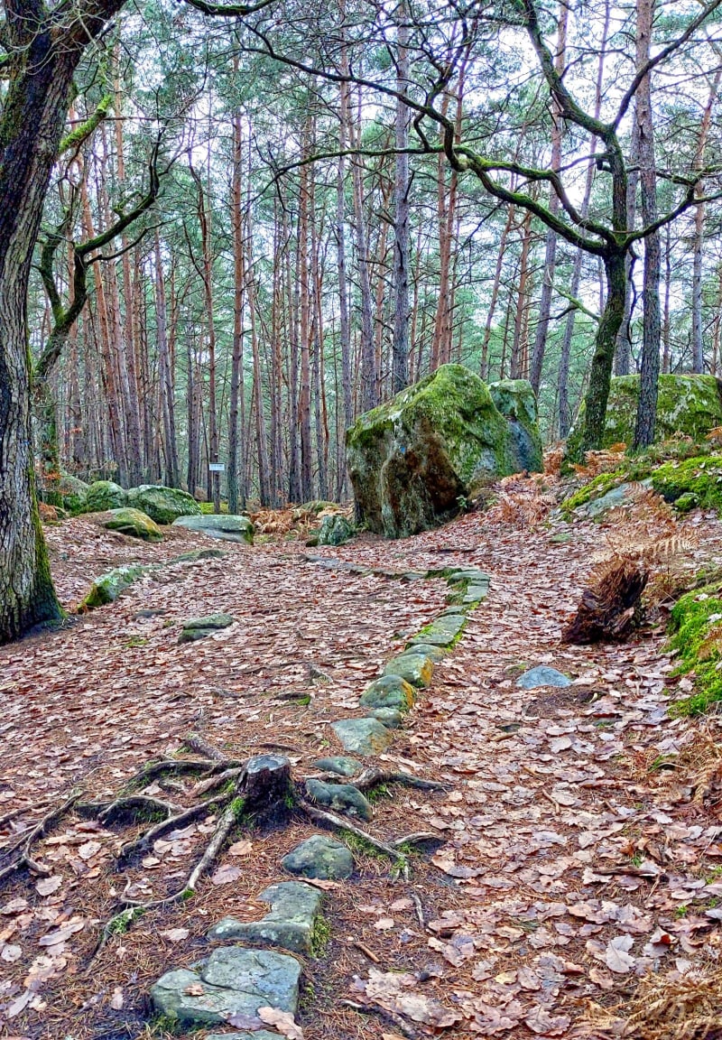 Le labyrinthe de roches à Fontainebleau - Fontainebleau