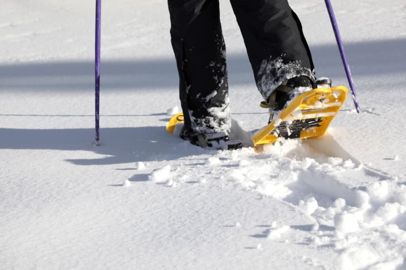 Escapade hivernale jusqu'au Mont Pelat - Aillon-le-Jeune