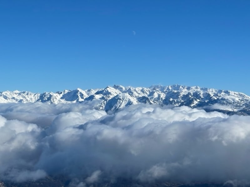 De vliegenvanger in de winter - Saint-Nizier-du-Moucherotte