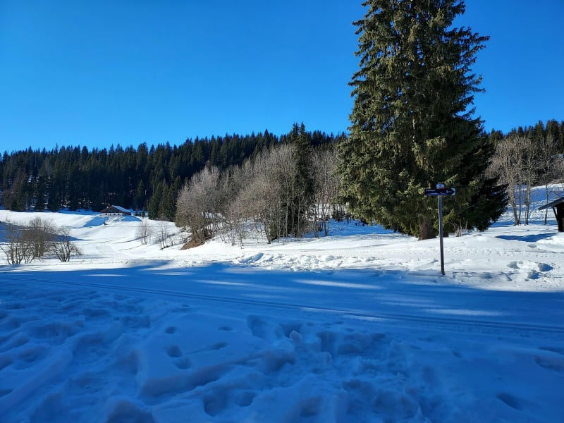 Sneeuwschoenwandelen van Les Esserts naar het Agy-plateau - Les Esserts