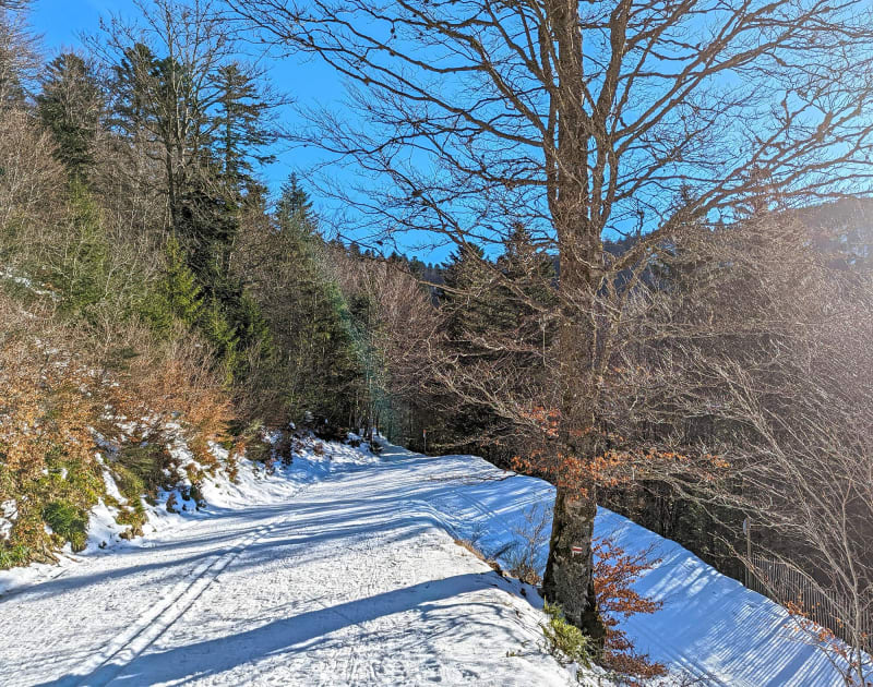 Mont-Dore et cascades sous le Pic du Capucin - Le Mont-Dore