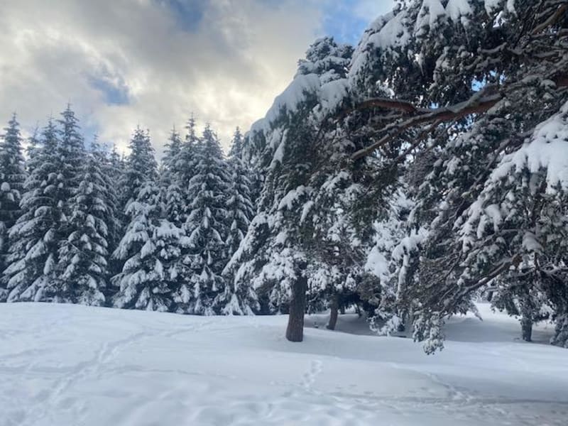 Excursion hivernale vers le Grand Tabuc et La Selle - Le Monêtier-les-Bains