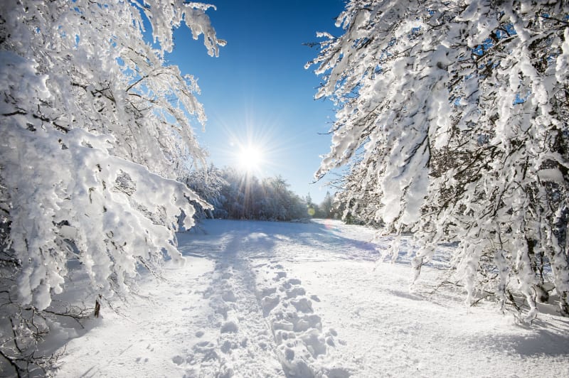 Winterreis naar de grens op het spoor van smokkelaars - Châtel