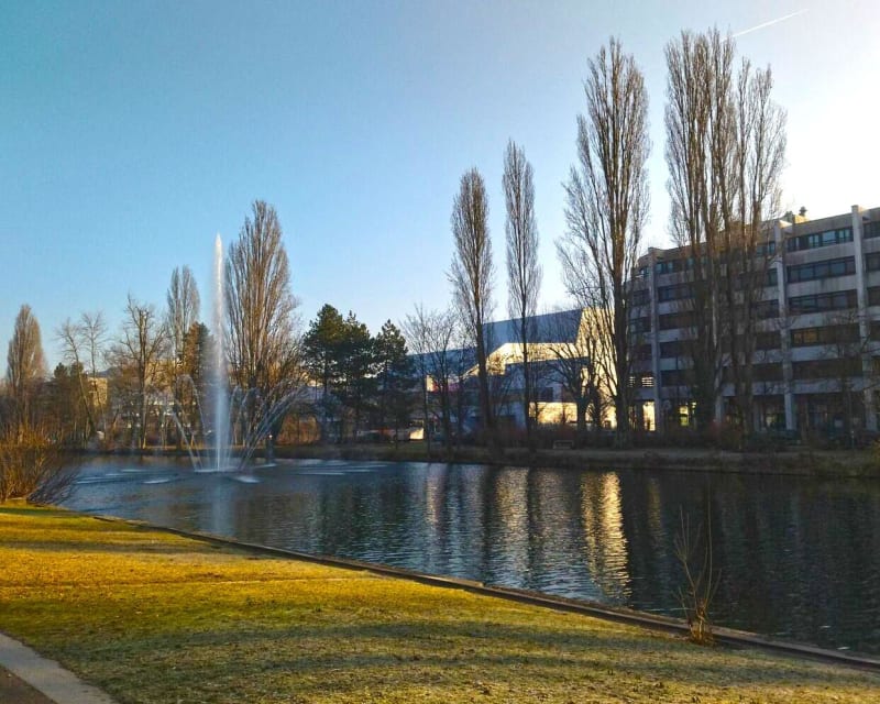 Le nouveau bassin de Mulhouse - Mulhouse