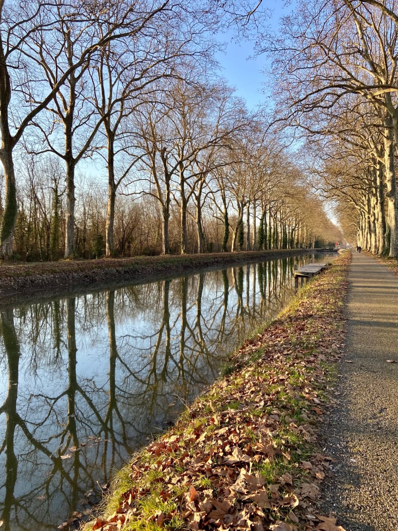 Marche à Montech le long du canal latéral à la Garonne - Montech
