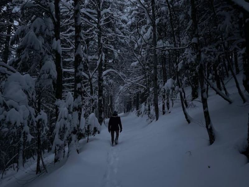 Balade hivernale au col de Donon - Grandfontaine