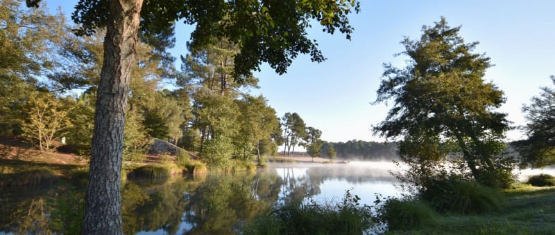 Lac de Clarens - Casteljaloux