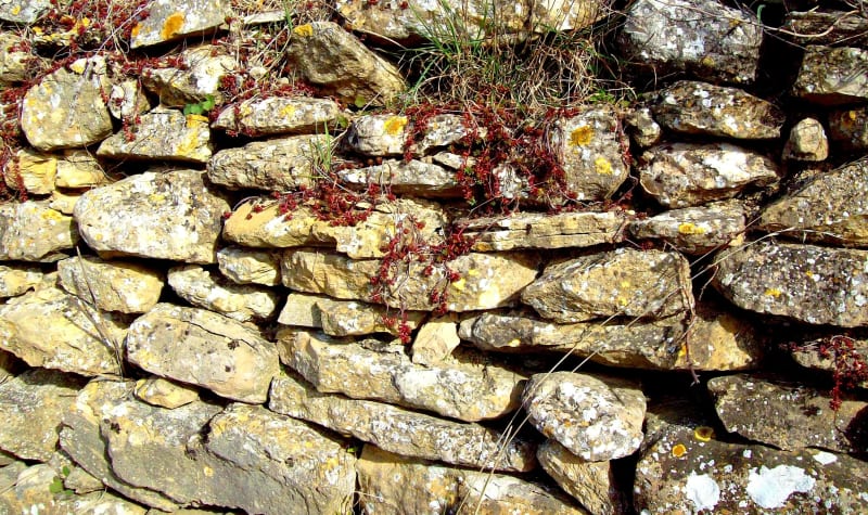 Découverte des paysages du pays ardéchois à Salelles - Les Salelles