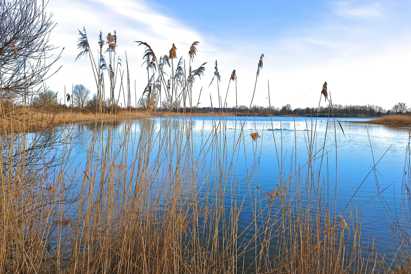 Balade au fil de La Claise - Mézières-en-Brenne