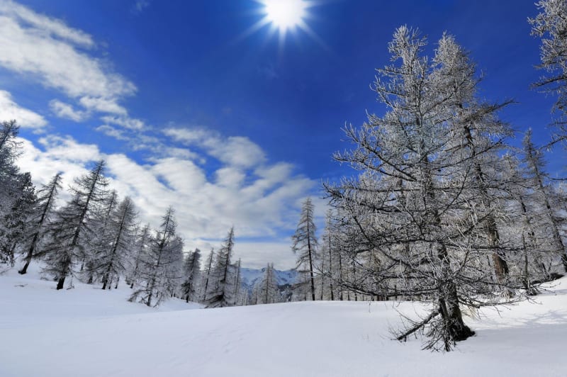Balade hivernale dans la forêt de la Mazelière - Les Orres
