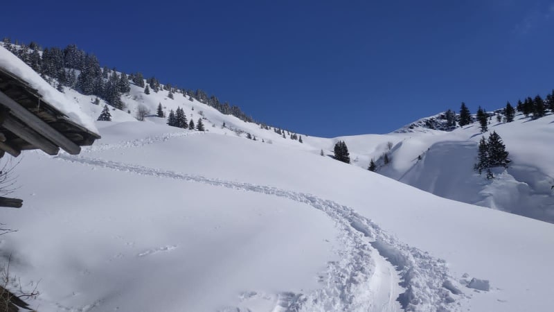 Virée enneigée au Col de Larche - Larche