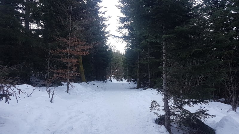 A l'assaut du Puy de Chambourguet depuis La Stèle - La Tour-d'Auvergne