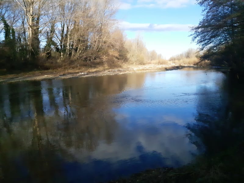 Balade Etang de Villelongue dels Monts + Le tech - Villelongue dels Monts