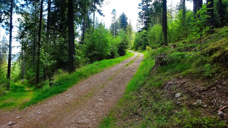 Balade à l'aube à la source de la Goule - Bay-sur-Aube