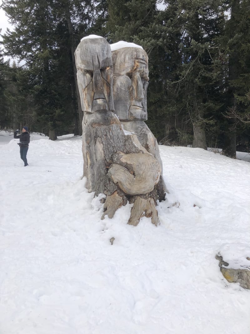 Montée sous la Pinéa - Col de Porte, Sarcenas