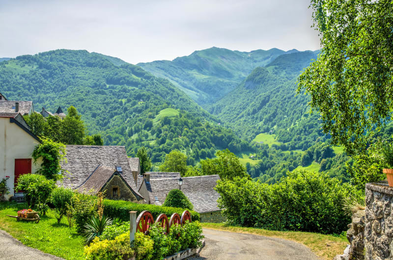 Buis de Camploung et point de vue de Senhater depuis Ayduis - Aydius