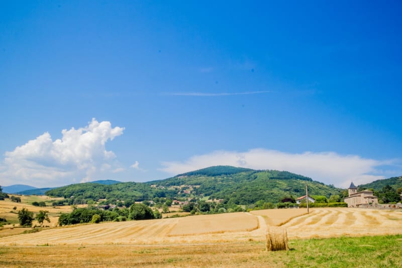 Excursion pédestre sur les côteaux de l'Igneraie - Verneuil-sur-Igneraie