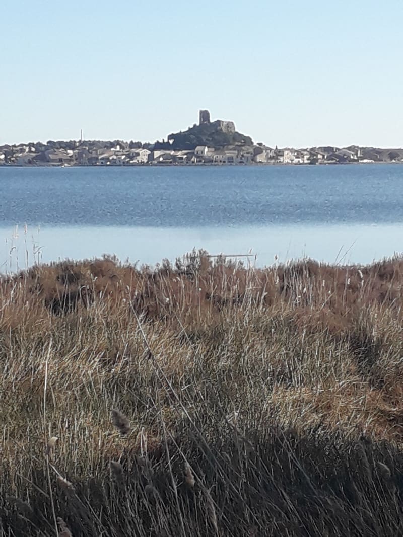 L'île St Martin - Gruissan