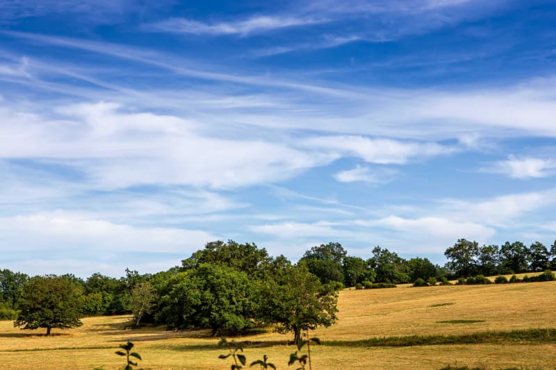 Virée campagnarde au moulin de Bordesoulle - Crozon-sur-Vauvre