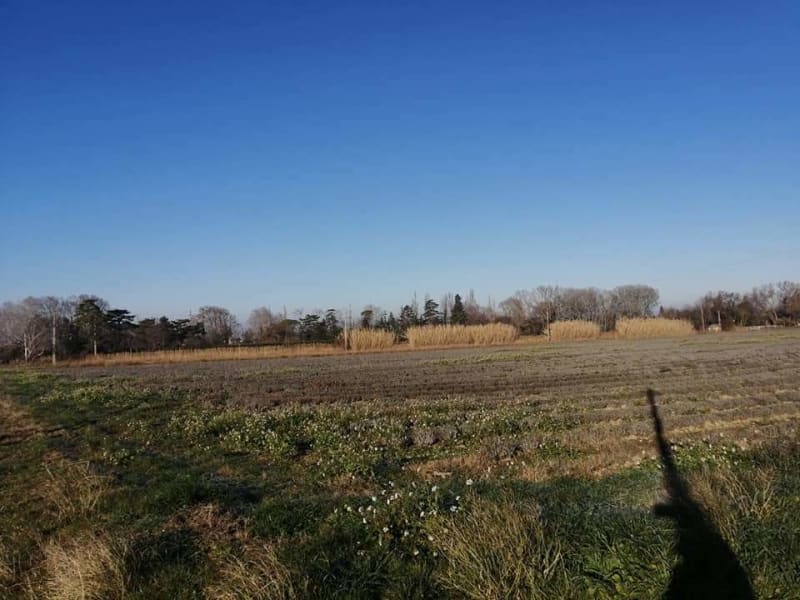 Pernes-les-Fontaines - Pernes-les-Fontaines