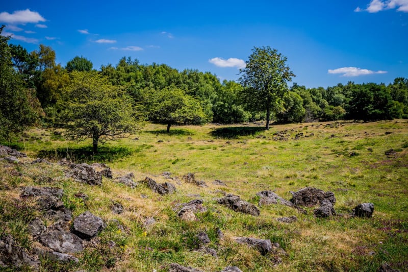 Chilhac et la Bois du Château - Chilhac