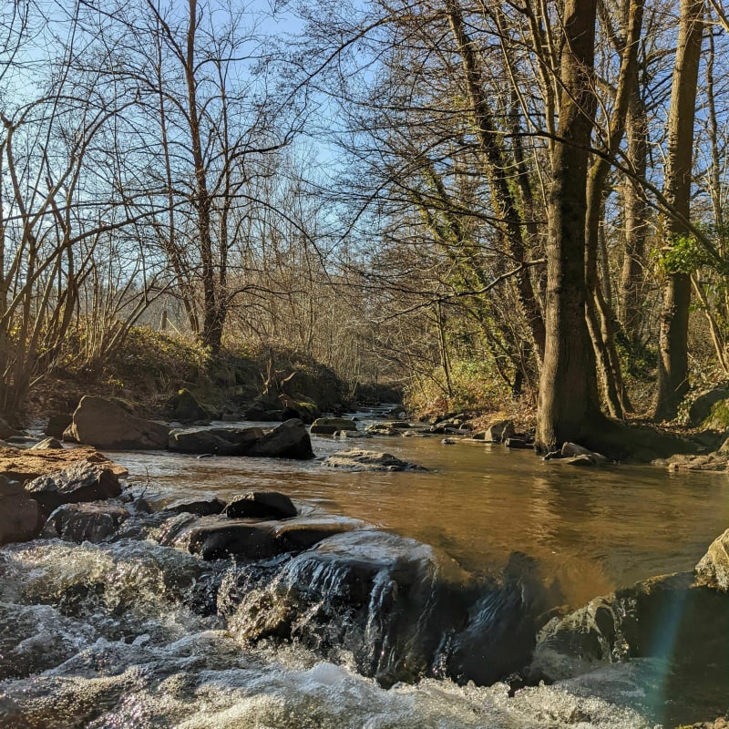 Vers la rivière Yzeron - Vaugneray