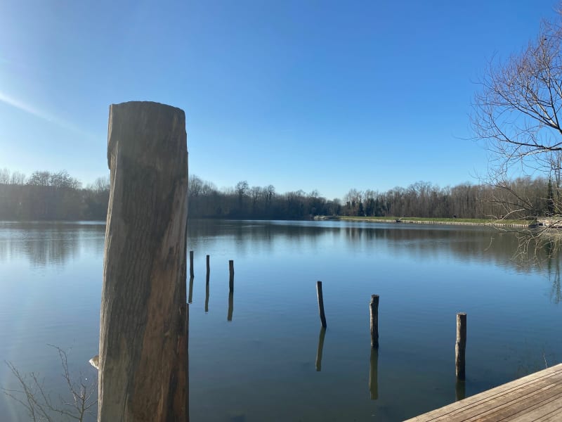 Rentilly, Belle balade dans la vallée de la Brosse - Bussy-Saint-Martin