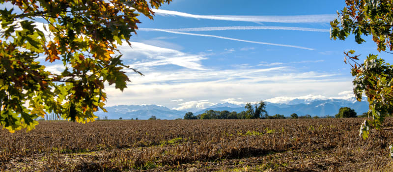 Eveiller ses sens sur les bords du Gabas - Sedzère