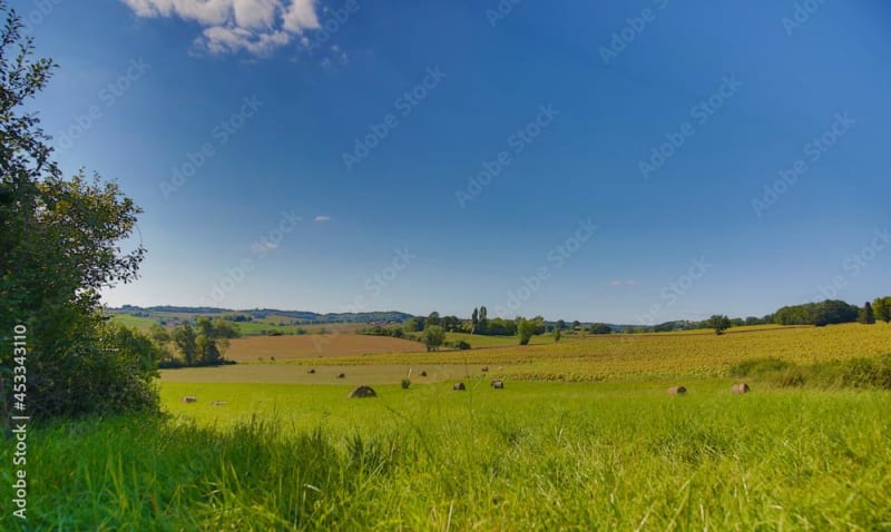 Balade gourmande dans le Quercy Blanc - Lendou-en-Quercy