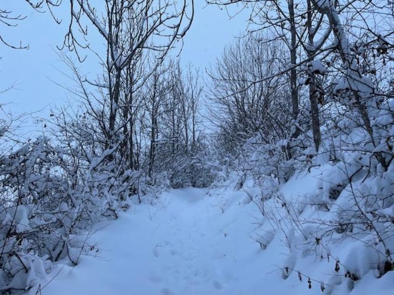 Excursion hivernale dans les bois du Grand Châtelard - Chorges