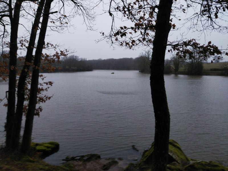 Étang de Bois Pouvreau - Ménigoute