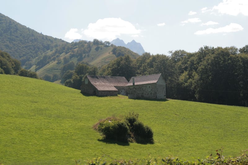 Grande de Claverie : revivre le déjeuner sur l'herbe - Etsaut