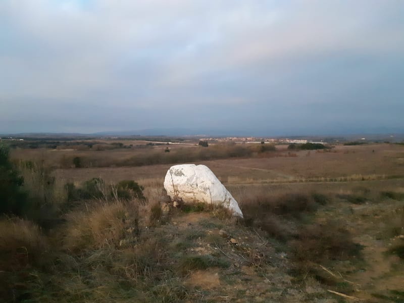 Balade à travers les Vignes de St Jean Lasseille. - Saint-Jean-Lasseille