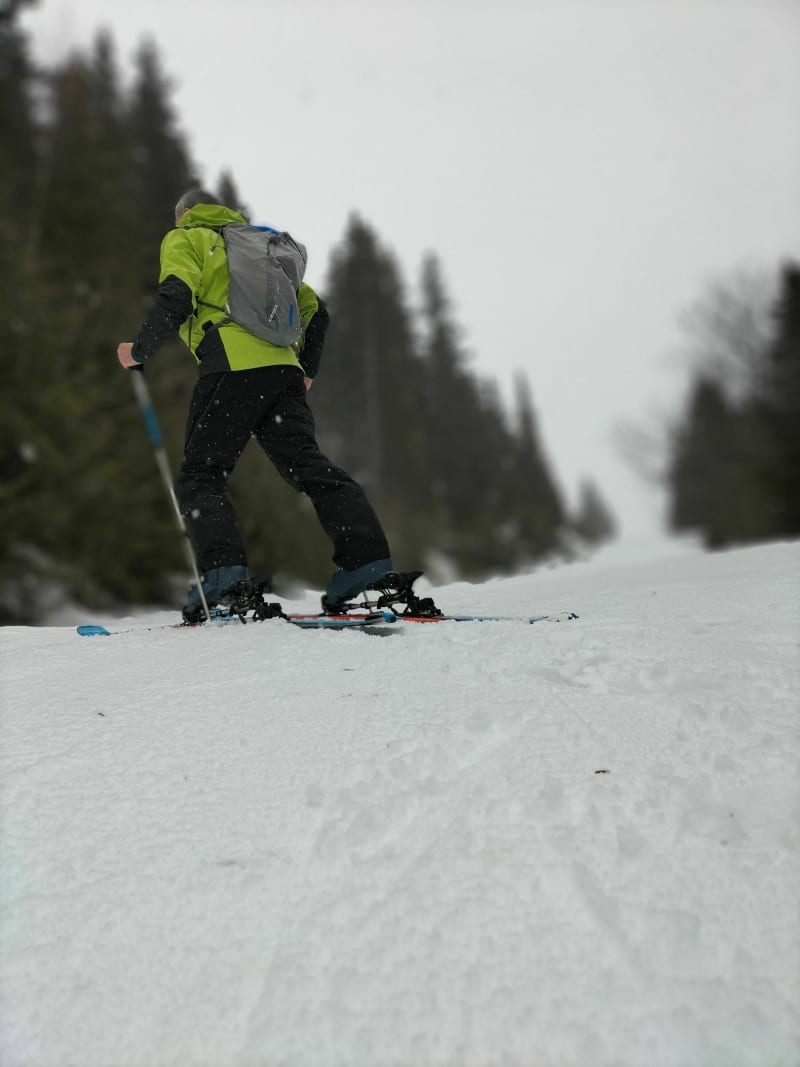 Le Pleynet - Pincerie : ski de randonnée à travers les bois - Le Haut-Bréda