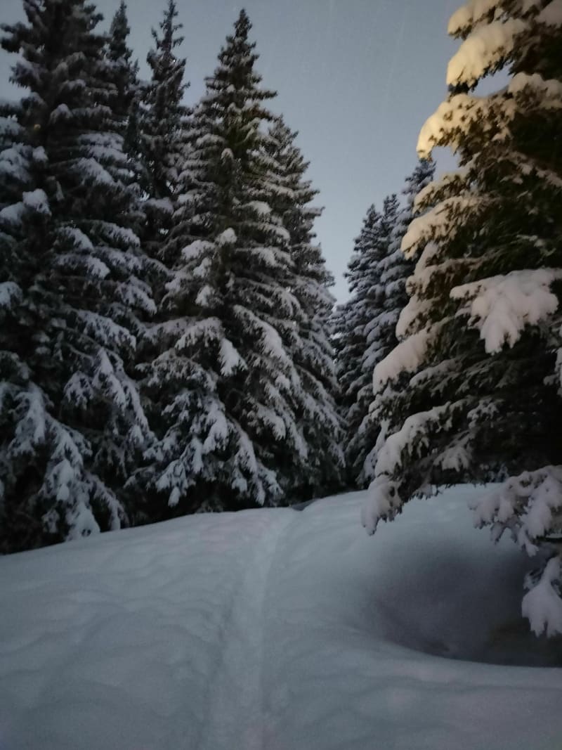 Prachtige sneeuwschoenwandeling Le Pleynet - Crêt du Bœuf - La Ferrière