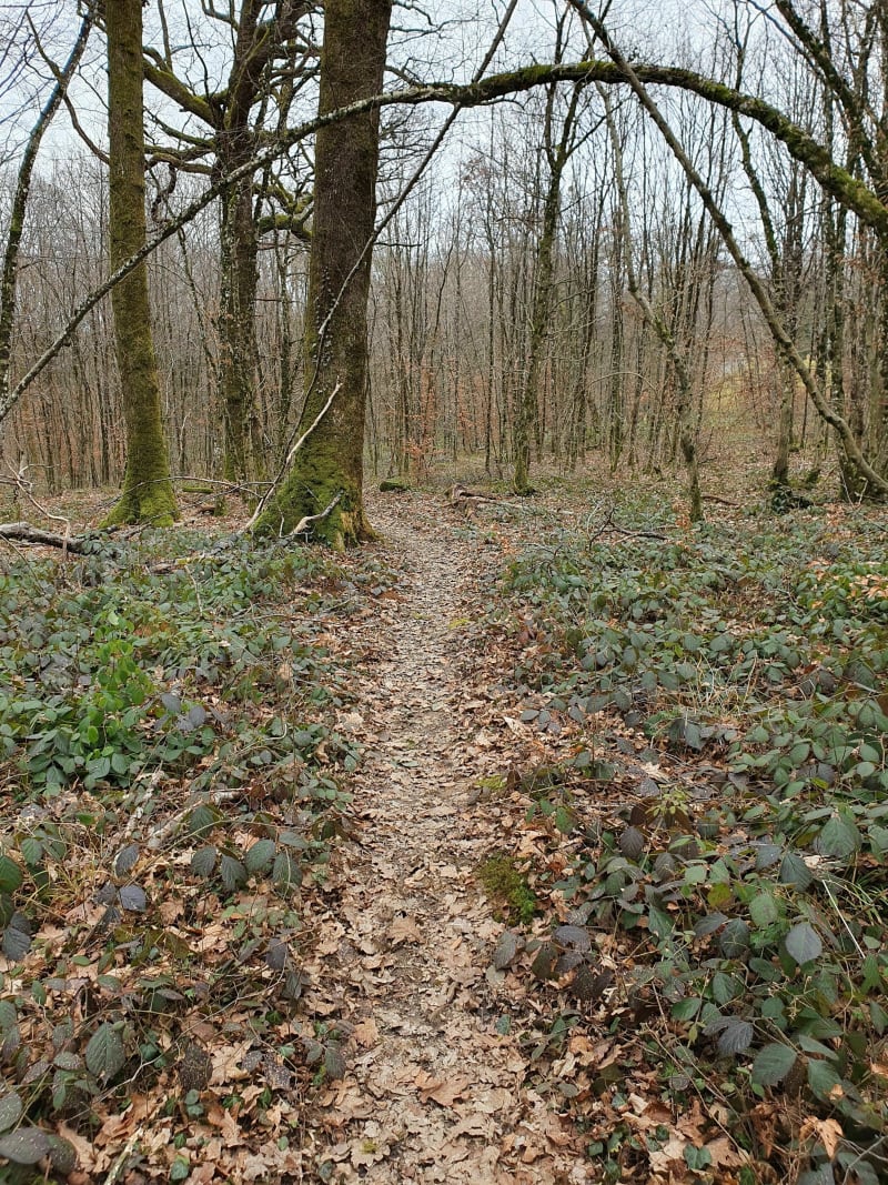 L'ouvrage de la Côte d'Essert - Essert