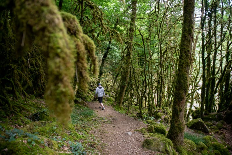 Forêt enchanteresse et vieilles bâtisses - Lacave