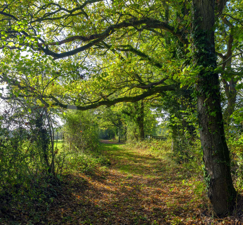Dans les traces des pèlerins au pied du Soum de Bergout - Bedous