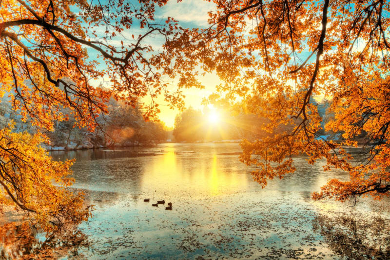 Autour des Etangs de Flayat - Flayat