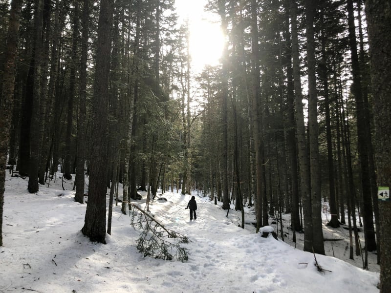 Het leuke fitnessparcours van Bois Barbu - Villard-de-Lans