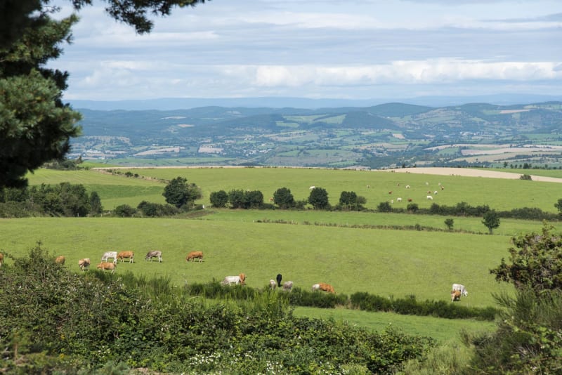 Balade avec vue au Puech de Kaymard - Pruines