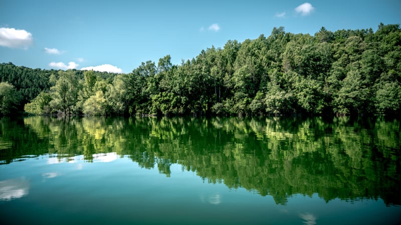 Balades en surplomb et le long du lac de Saint-Cassien - Montauroux