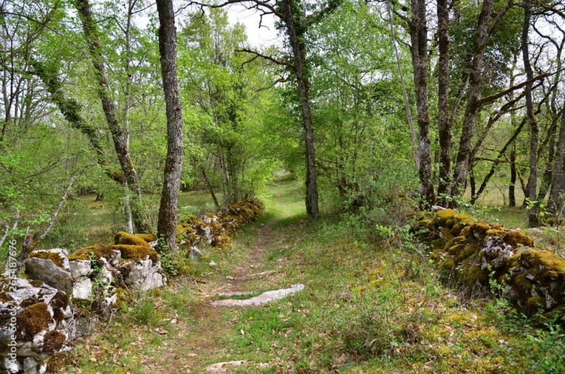 Les trésors cachés de la Rauze - Francoulès