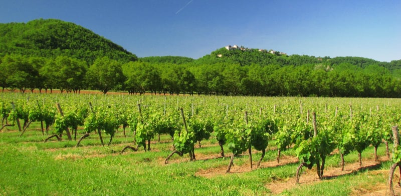 S'enivrer des rives du Lot et des vignobles de Gaby - Mauroux