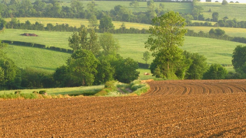 Virée champêtre à Auzoux - Royère-de-Vassivière