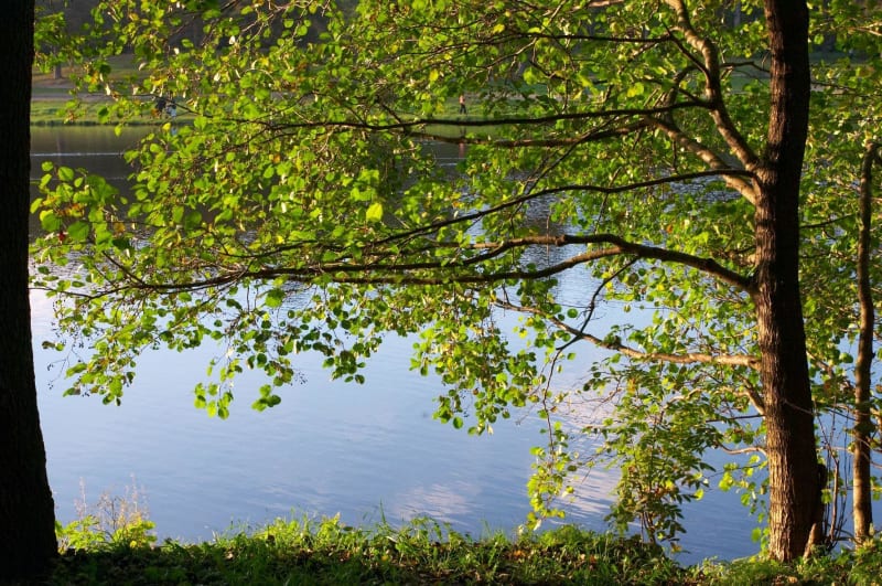 Belle vallée de la creuse à Saint-Gaultier - Saint-Gaultier